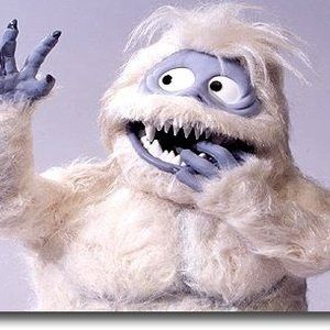 Meet your Posher, Kari